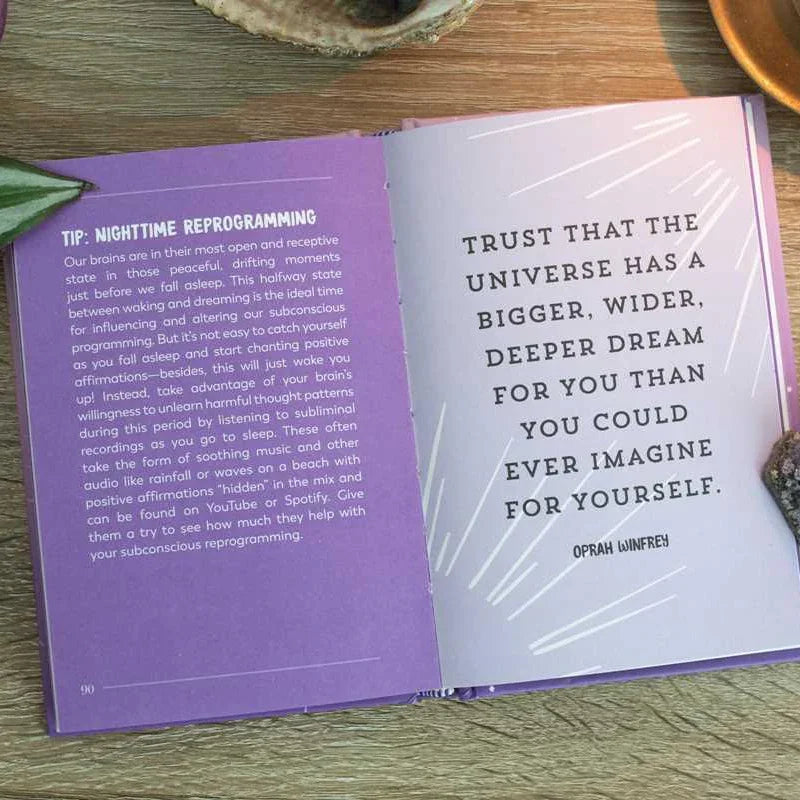 The Little Book of Manifestation